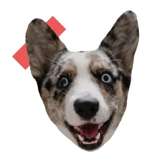 😃