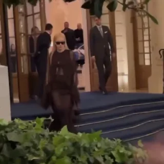 🌟