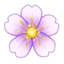 🌸