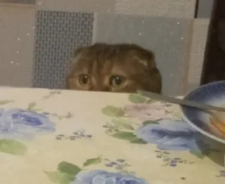 👀