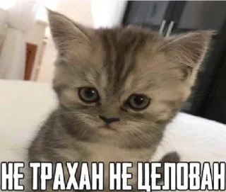 🔞
