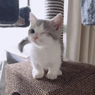 😉