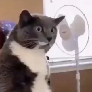 😮