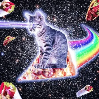 🤩