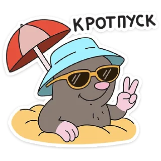 ⭐