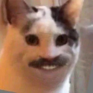 🥸