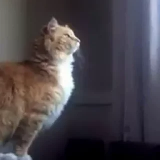 🥴