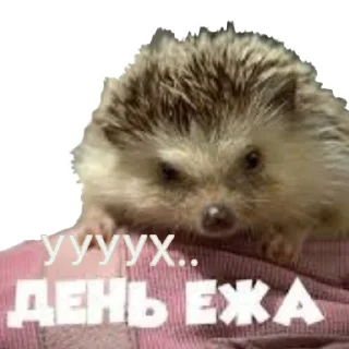 👍