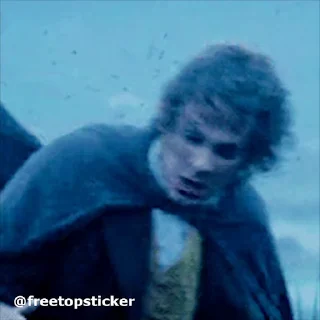 🦟