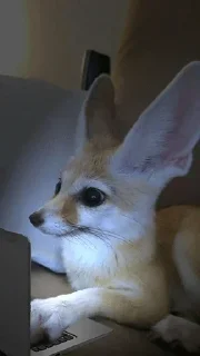 😲