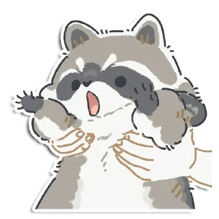 🦝