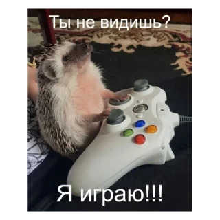 🎮