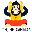 🙉