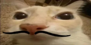 🥸