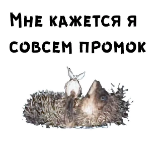 😄