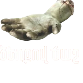 🤚