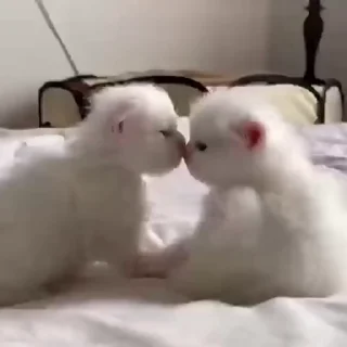 😘