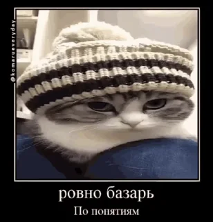 🤓