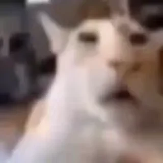 😳