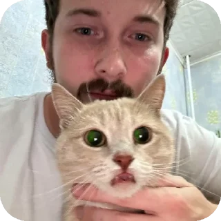 🐱