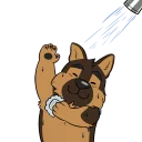 🚿