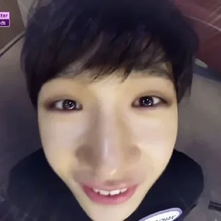 🐺