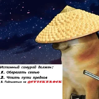🐶