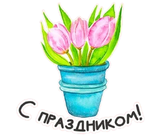 🌺