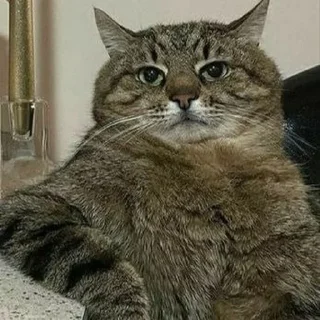 😏