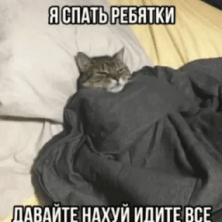 🥱