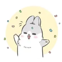 Machiko Rabbit