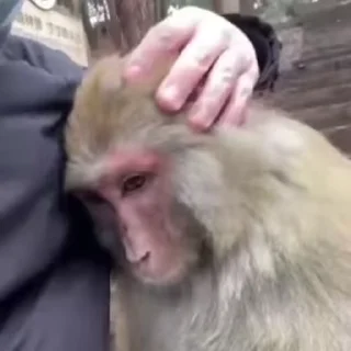 🙁