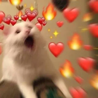 💖