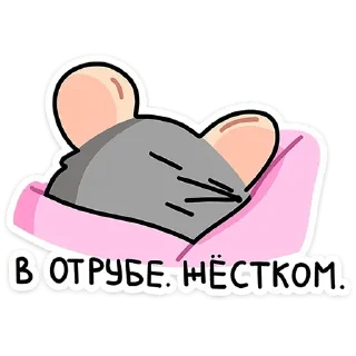 😴
