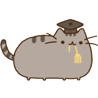 🎓