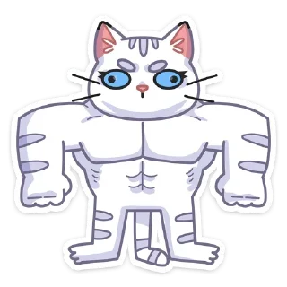 💪
