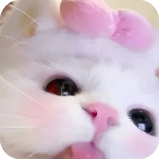 🤲