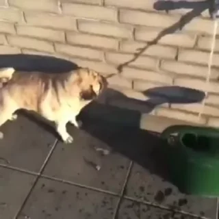 😁
