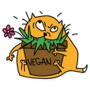 🌻