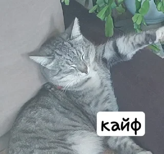 😴