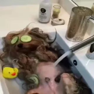 😴