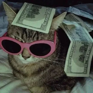 💸