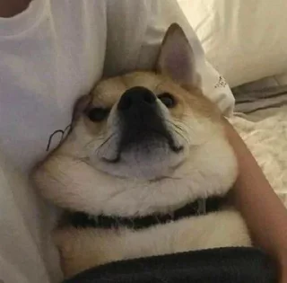 💓