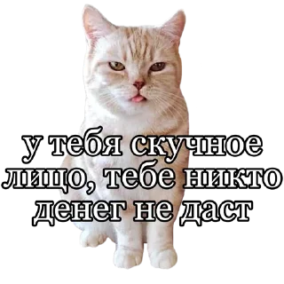 😶