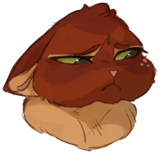 🐱