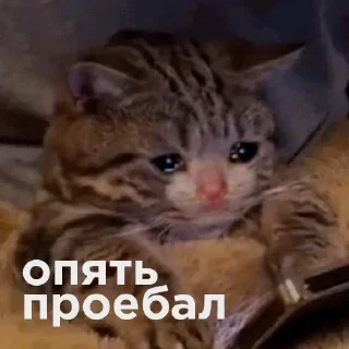 😔