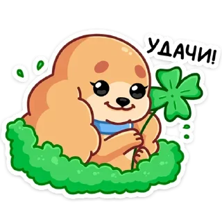 🍀