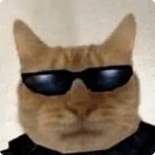 😎