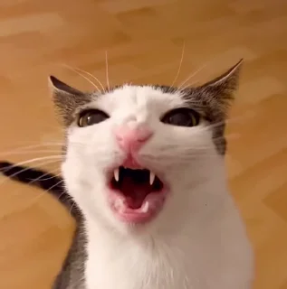 😬