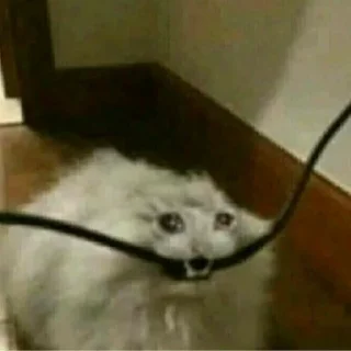 😖